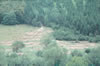 ph05