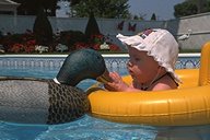 bb et canard