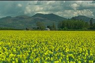 paysage